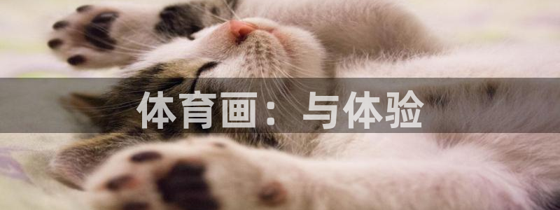 搜球体育现在叫什么：体育画：与体验