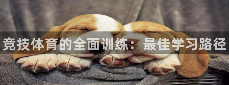 搜球体育怎么登录账号