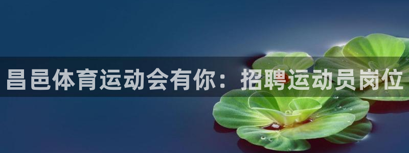 搜球体育下载