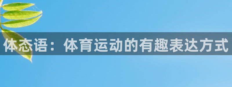 搜球体育