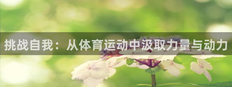 搜球体育CBA：挑战自我：从体育运动中汲取力量与动力