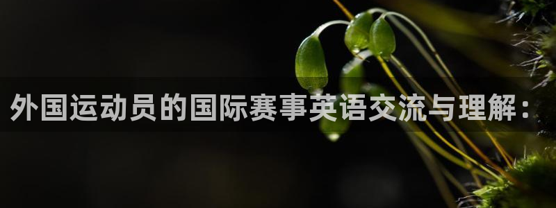 搜球体育现在叫什么