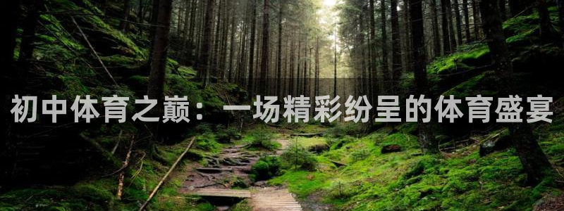 关键词：初中体育之巅：一场精彩纷呈的体育盛宴