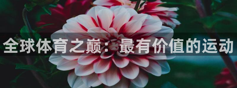 搜球体育在线观看：全球体育之巅：最有价值的运动