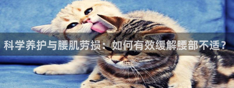 搜球体育官网